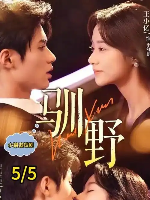 逆风航线 职场群像剧全集